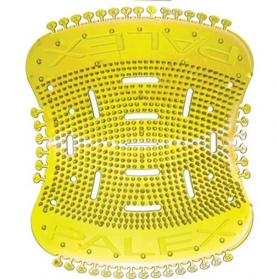 Palex Pisuvar Süzgeç Koku Giderici 30 Gün Etkili