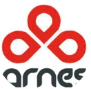 Arnes